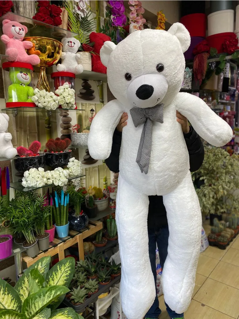 Büyük Boy Ayıcık