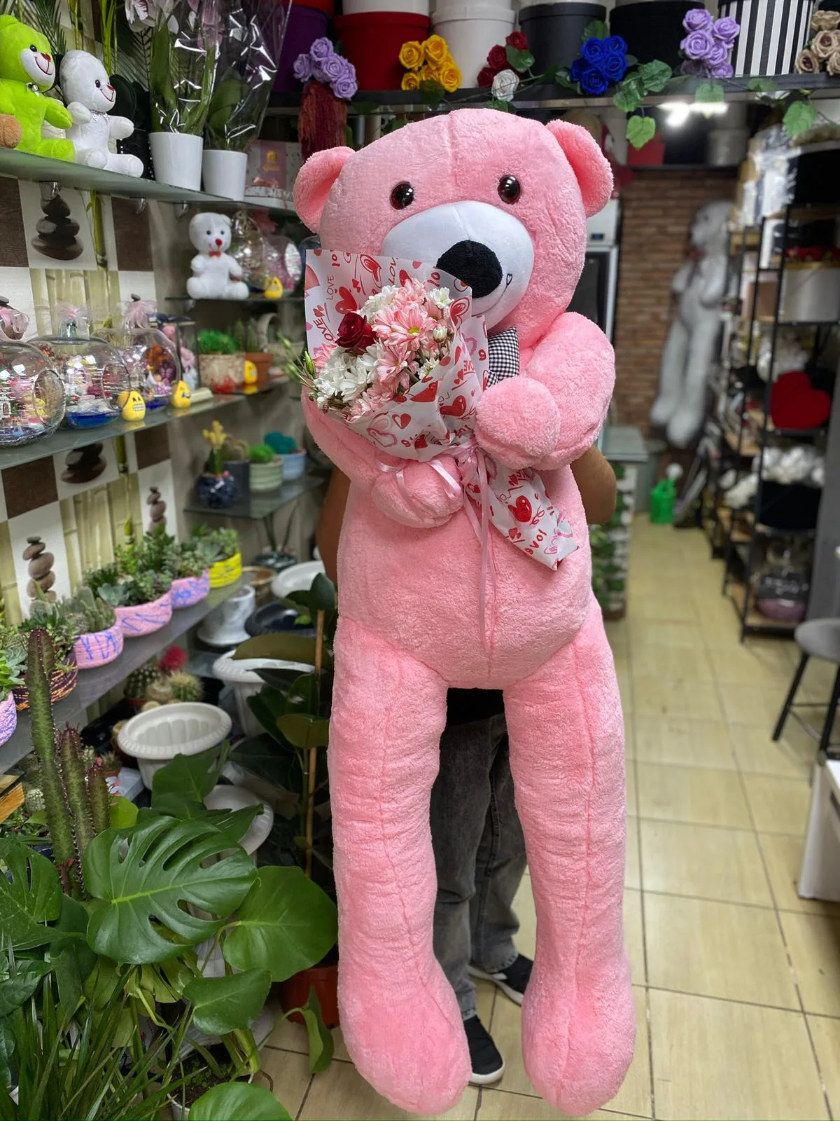 Büyük Boy Ayıcık