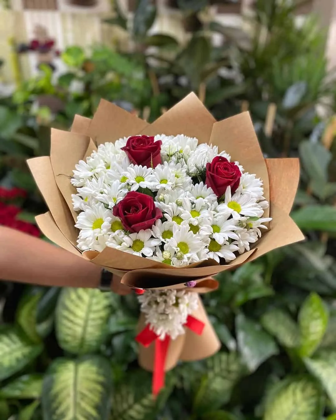 Gül Papatya Demetimiz