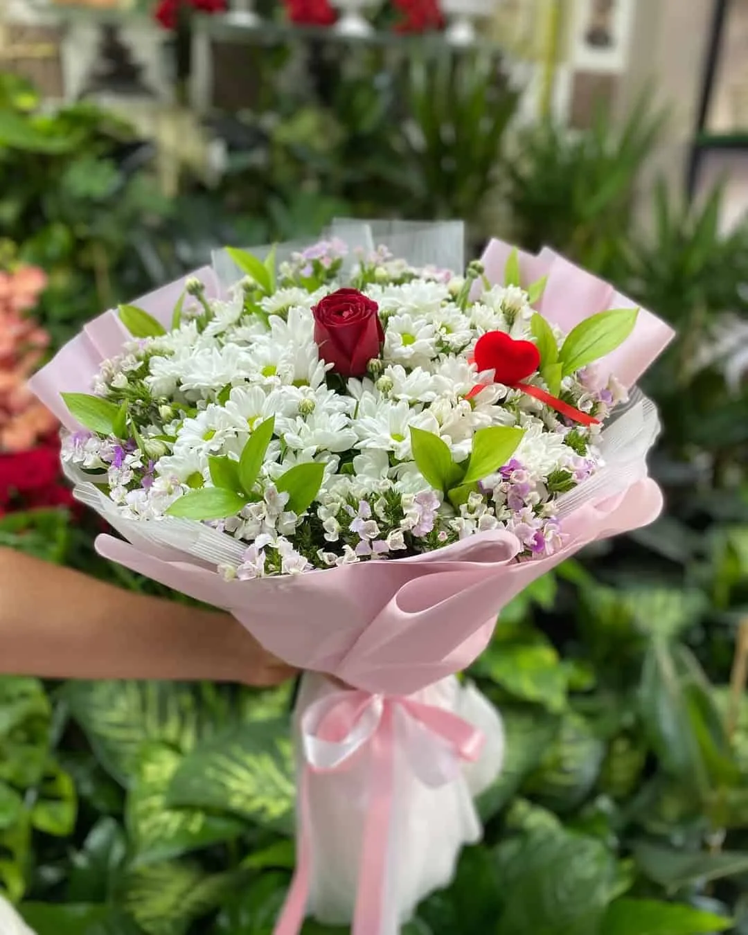 Tek Gül Papatya Demetimiz