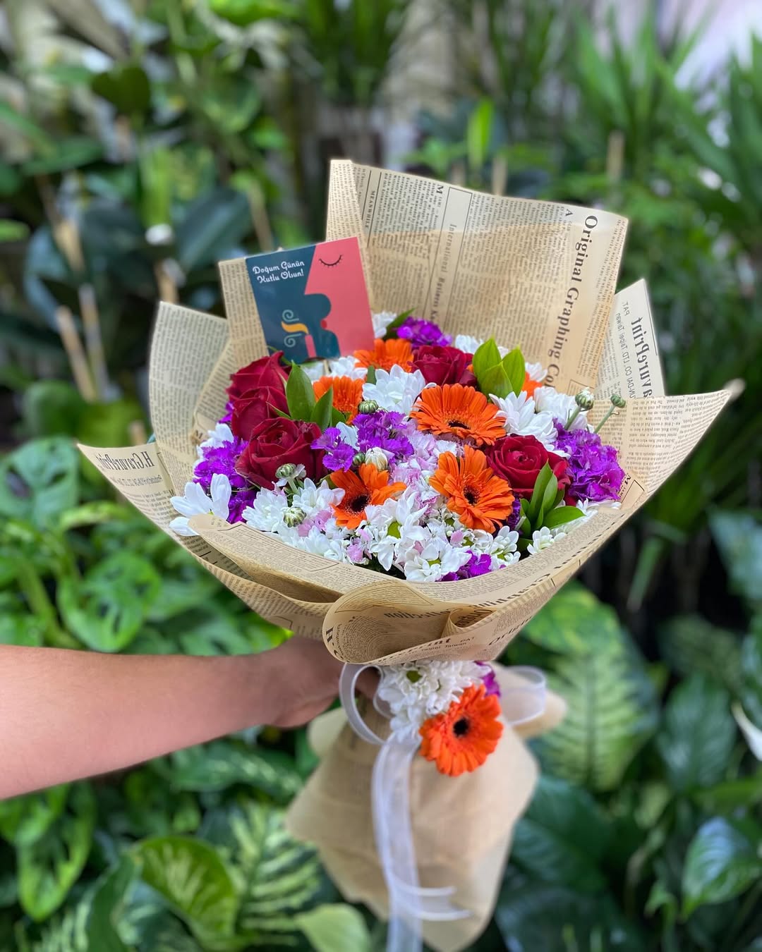 Gül Papatya Celbera Demetimiz