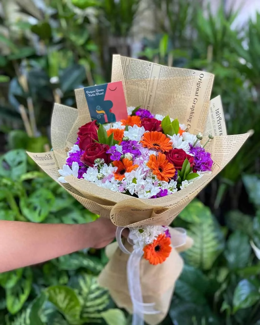 Gül Papatya Celbera Demetimiz