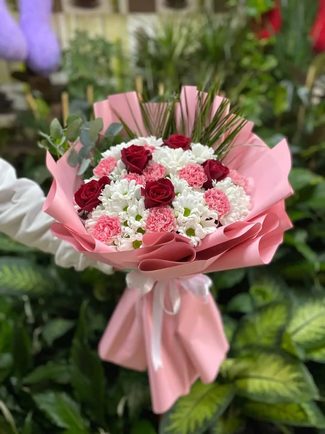 Gül Papatya Demetimiz