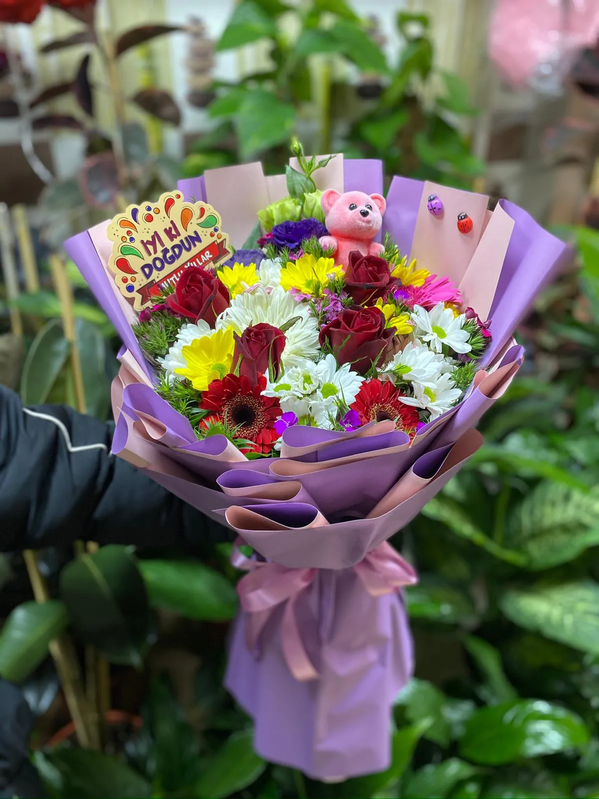 Gül Papatya Celbera Demeti