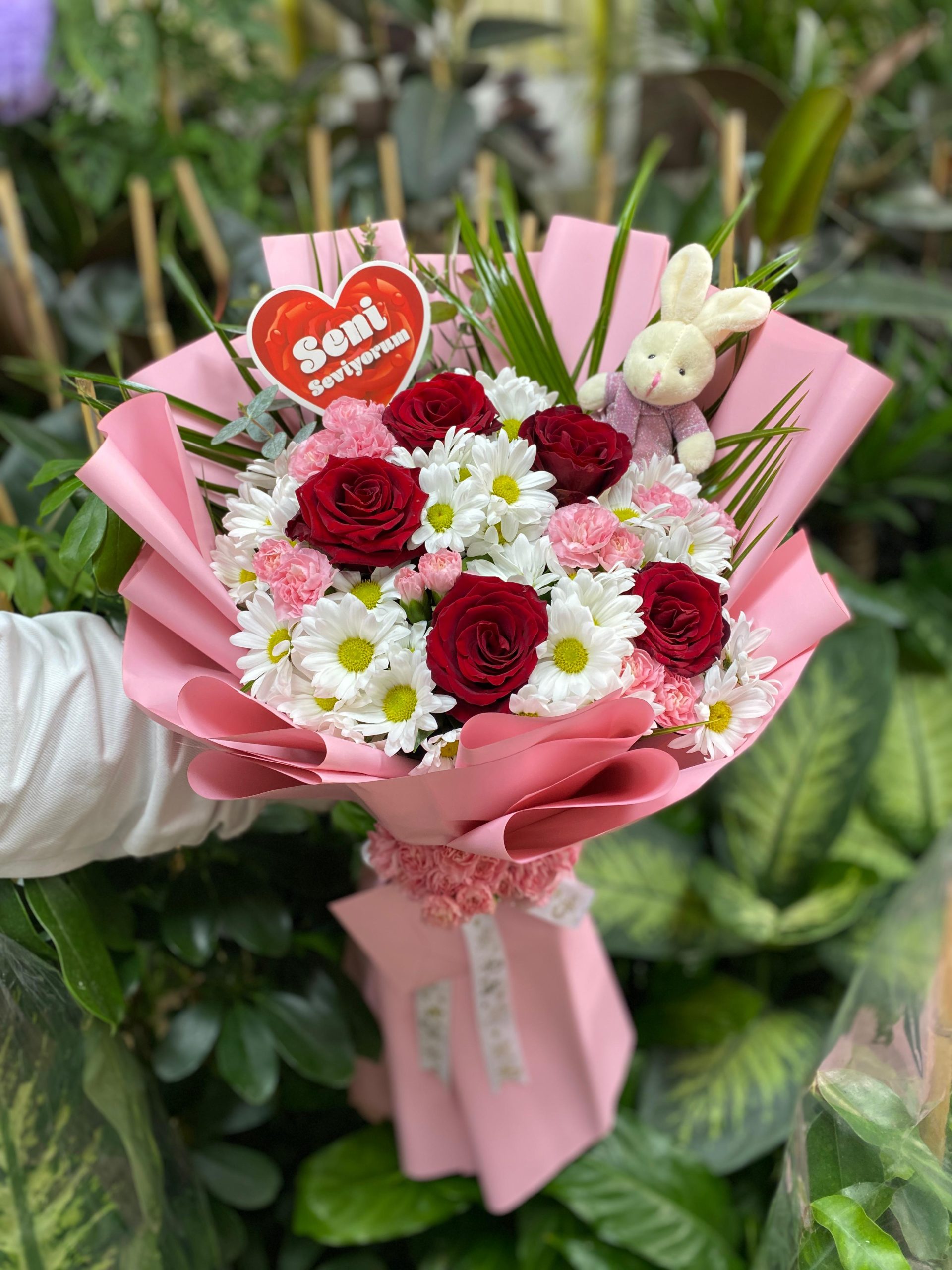 Gül Papatya Demetimiz