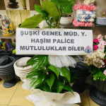 İş Yeri Ve Düğün Saksı