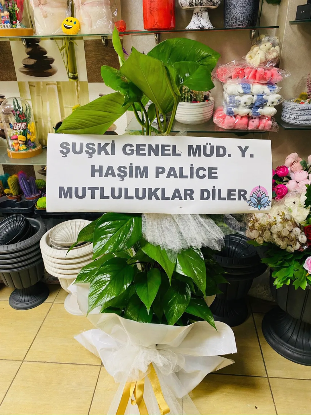 İş Yeri Ve Düğün Saksı