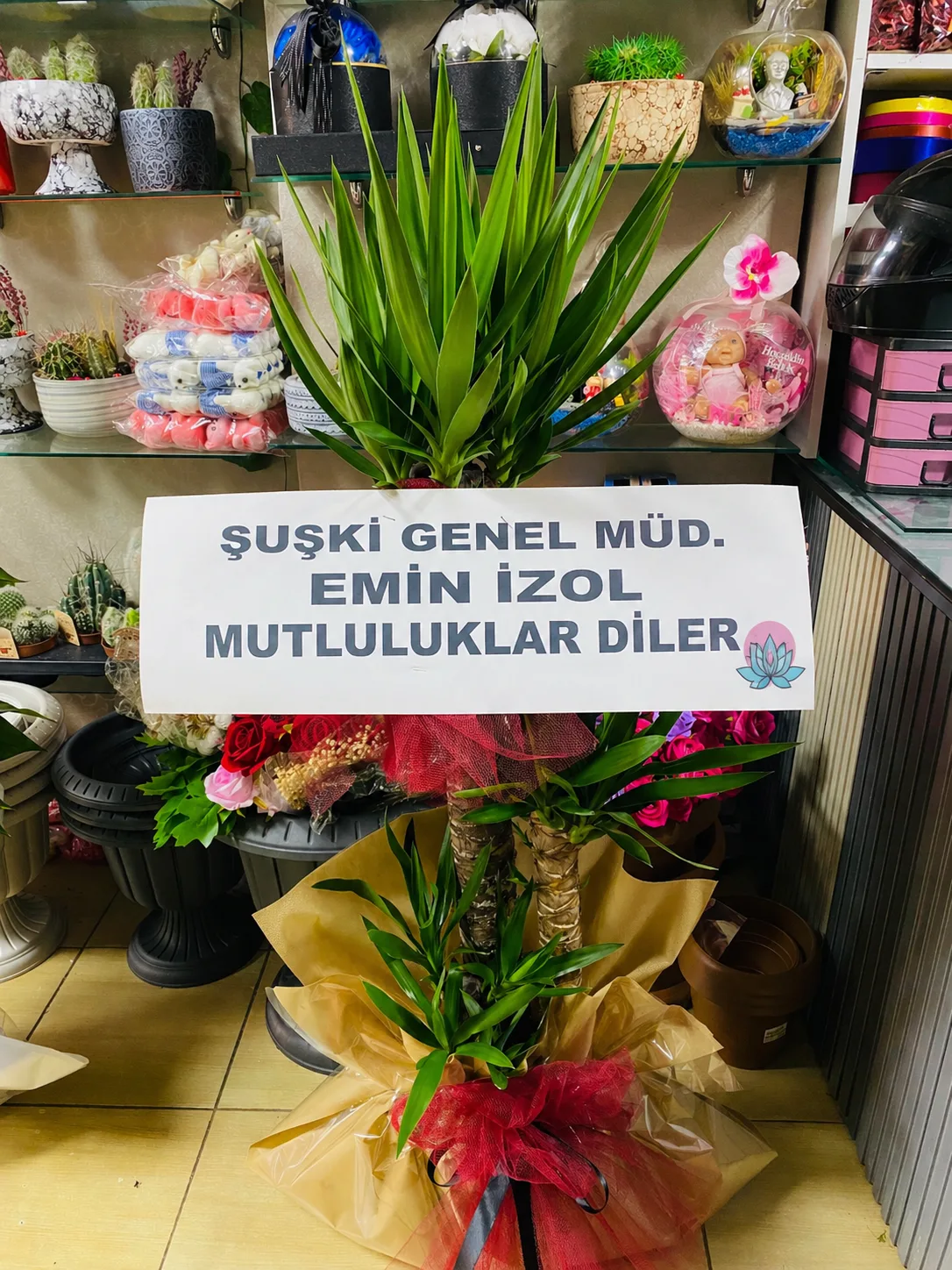 İş Yeri Ve Düğün Saksı